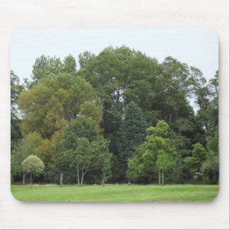 Bäume im Bute Park, Cardiff Mousepad