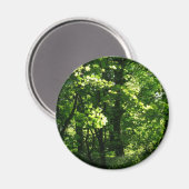 Bäume im Frühling. Bute Park, Cardiff. Wales Magnet (Vorderseite/Rückseite)