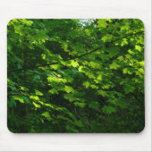 Bäume im Frühling. Bute Park, Cardiff. Wales Mousepad (Vorne)