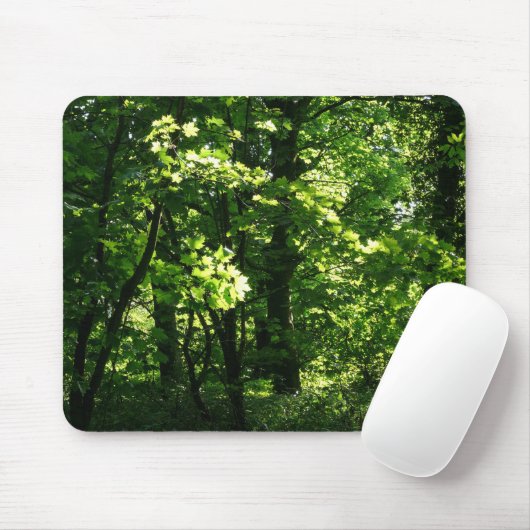 Bäume im Frühling. Bute Park, Cardiff. Wales Mousepad (Mit Mouse)