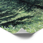 Bäume im Glacier Nationalpark , Montana Poster (Ecke)