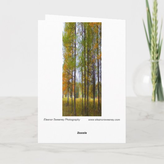 "Bäume im Herbst" digital transformierte Tamaracks Karte (Rückseite)