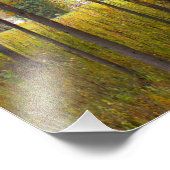 Bäume im Herbst Fotodruck (Ecke)