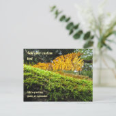 Bäume im Herbstmoos vergewaltigt - Personalisiert Postkarte (Stehend Vorderseite)