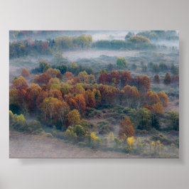 Bäume im Morgennebel Poster