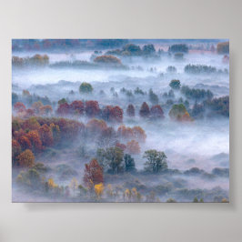 Bäume im Morgennebel Poster