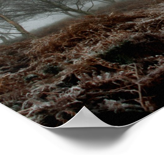 Bäume im Nebel Poster (Ecke)