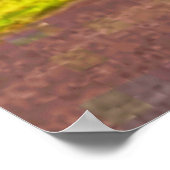 Bäume im Ottawa Park. Jetzt kaufen Poster (Ecke)