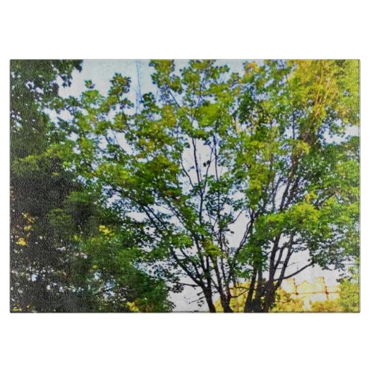 Bäume im Ottawa Park. Jetzt kaufen Schneidebrett (Vorderseite)