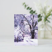 Bäume im Schnee Postkarte (Stehend Vorderseite)