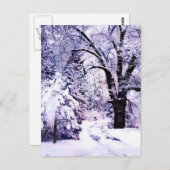 Bäume im Schnee Postkarte (Vorne/Hinten)