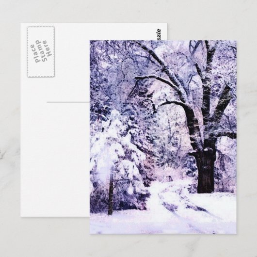 Bäume im Schnee Postkarte (Vorne/Hinten)