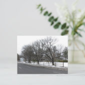 Bäume im Schnee Postkarte (Stehend Vorderseite)