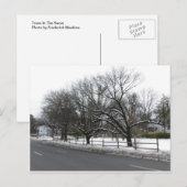 Bäume im Schnee Postkarte (Vorne/Hinten)