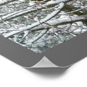 Bäume im Schnee-Winter-Foto Poster (Ecke)