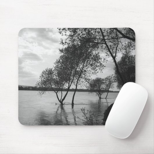 Bäume im See Mousepad (Mit Mouse)