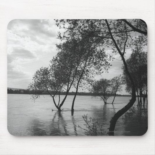 Bäume im See Mousepad (Vorne)