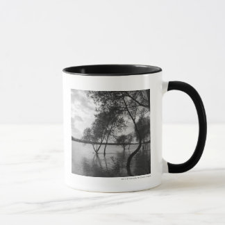 Bäume im See Tasse