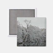 Bäume im Wasser Magnet (Vorderseite/Rückseite)