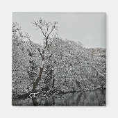 Bäume im Wasser Magnet (Vorne)