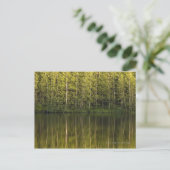 Bäume im Wasser Postkarte (Stehend Vorderseite)