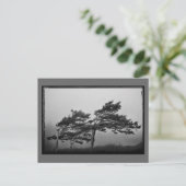 Bäume im Wind Postkarte (Stehend Vorderseite)