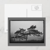 Bäume im Wind Postkarte (Vorne/Hinten)