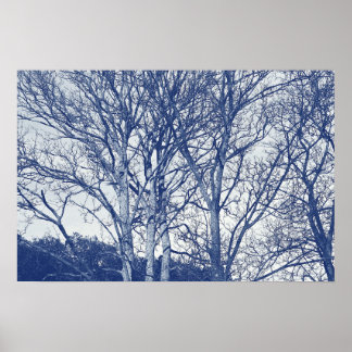 Bäume im Winter - Cyanotypeffekt Poster