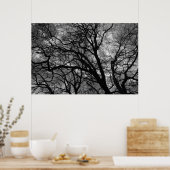 Bäume im Winter Poster (Küche)