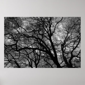 Bäume im Winter Poster