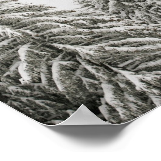 Bäume im Winter Poster (Ecke)