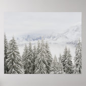 Bäume im Winter Poster (Vorne)