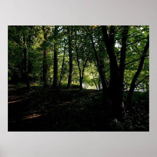 Bäume in der Nähe des Flusses Poster (Vorne)