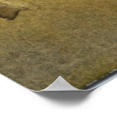 "Bäume in einem Feld #1" Landschaftsposter Poster (Ecke)