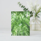 Bäume in einem Wald von der Ansicht von unten Postkarte (Stehend Vorderseite)