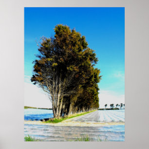 Bäume in einer Jersey-Landschaft Poster