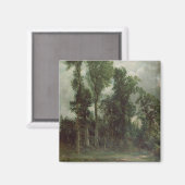 Bäume in Hampstead Magnet (Vorderseite/Rückseite)