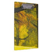 Bäume in Herbstfarben Klemmbrett (Rechts)