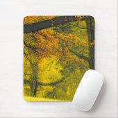 Bäume in Herbstfarben Mousepad (Mit Mouse)