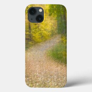 Bäume in Herbstfarben und ebenerdiger Allee Case-Mate iPhone Hülle