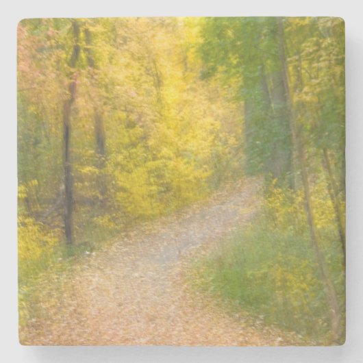 Bäume in Herbstfarben und ebenerdiger Allee Steinuntersetzer (Vorderseite)