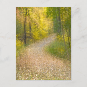 Bäume in Herbstfarben und ein von Blättern bedeckt Postkarte