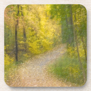 Bäume in Herbstfarben und ein von Blättern bedeckt Untersetzer
