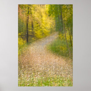 Bäume in Herbstfarben und mit Blättern bedecktem W Poster
