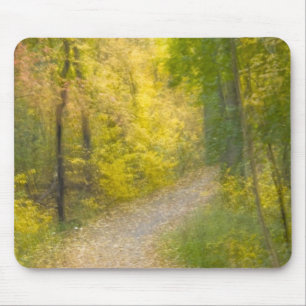 Bäume in Herbstfarben und mit Blättern bedeckter W Mousepad