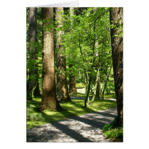 Bäume in Nitobe Garten