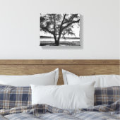 Bäume in schwarz-weiß gestrichene Canvas Print Leinwanddruck (Insitu (Schlafzimmer))