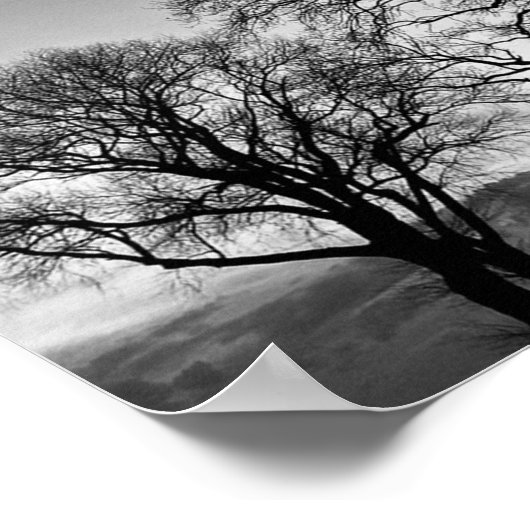 Bäume in Schwarz-Weiß-Poster Poster (Ecke)