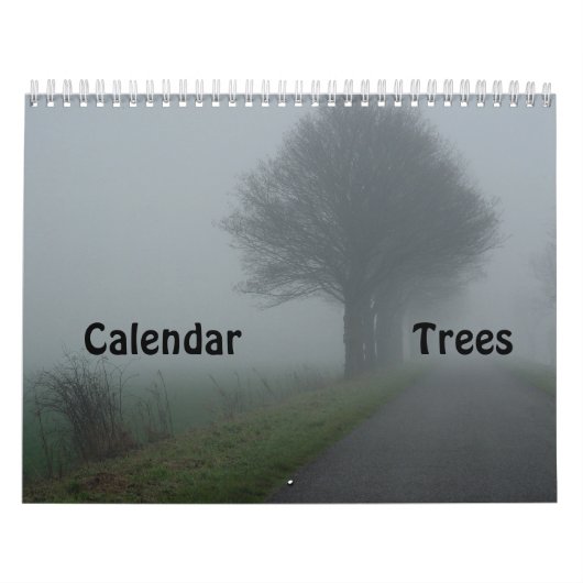 Bäume Kalender (Titelbild)