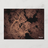 Bäume Karte 5 (Rückseite)